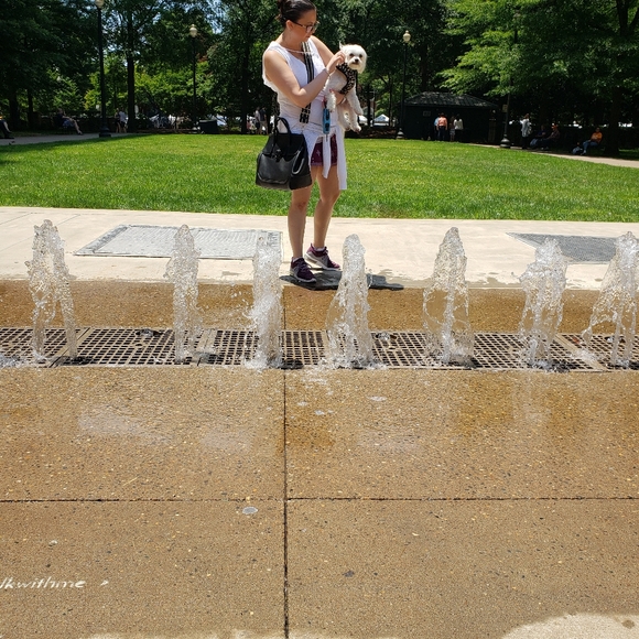 Meet your Posher, Rola - Picture 6 of 6